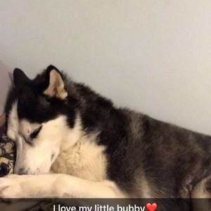 Meet your Posher, Cody